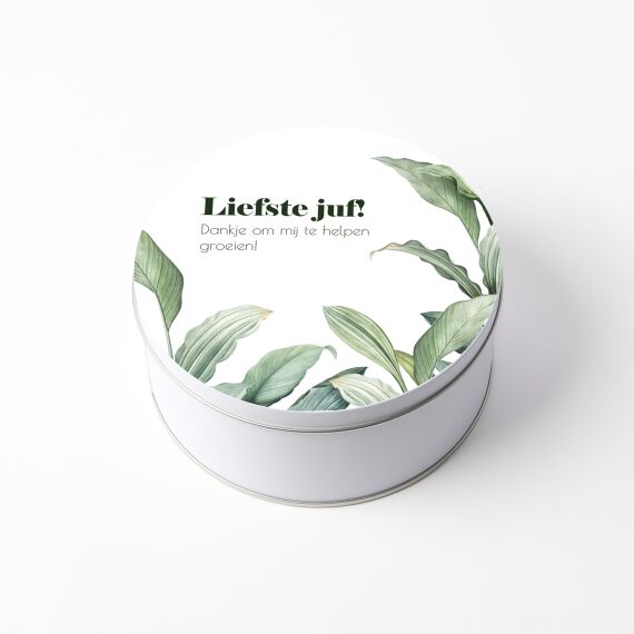 Blikken doos merci voor juf - Peace lily - Sfeerbeeld 1